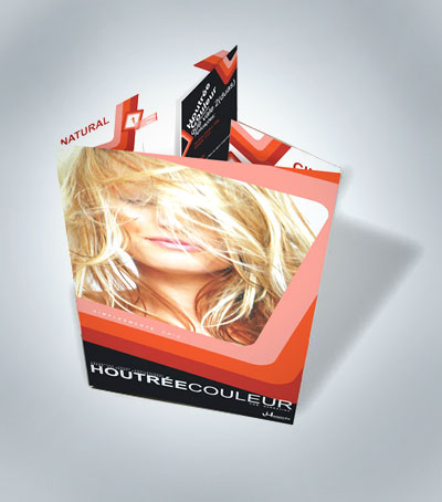 Cartela de Mechas Houtrée couleur professional