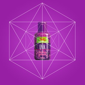 Grid e proporção áurea tutorial de design de embalagens