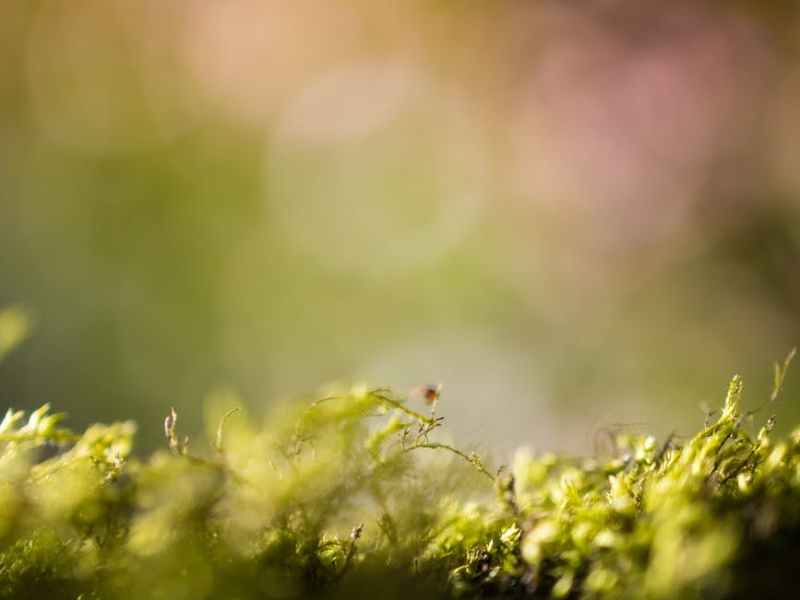 Percentual de investimento – Qual a melhor fórmula para minha marca? Design, Branding, marketing, digital, publicidade e&nbsp;etc.