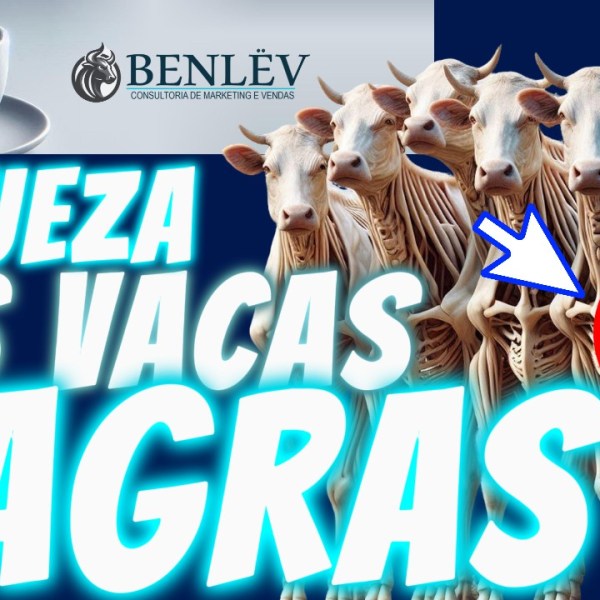 As Vacas Magras
